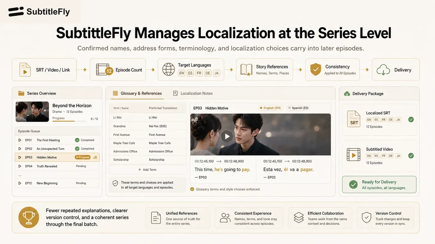 SubtitleFly manages confirmed names terminology context and delivery at the series level